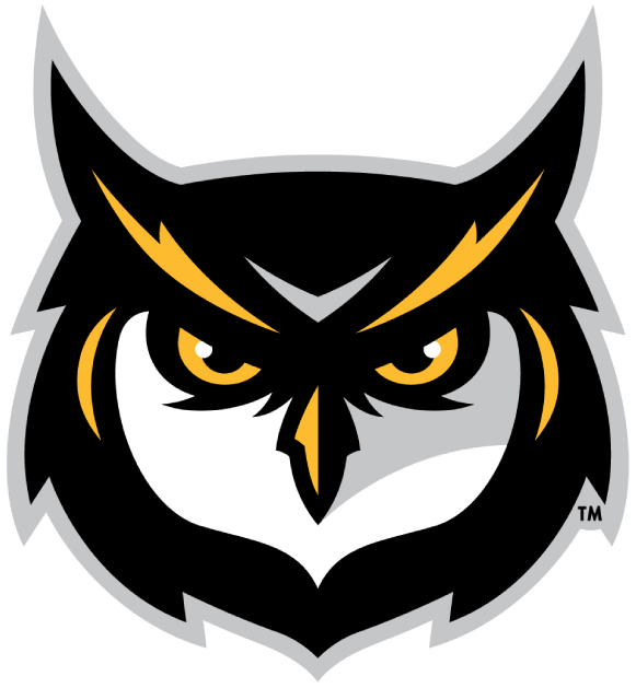 Kennesaw State Owls 2012-Pres Alternate Logo t shirts DIY iron ons v3